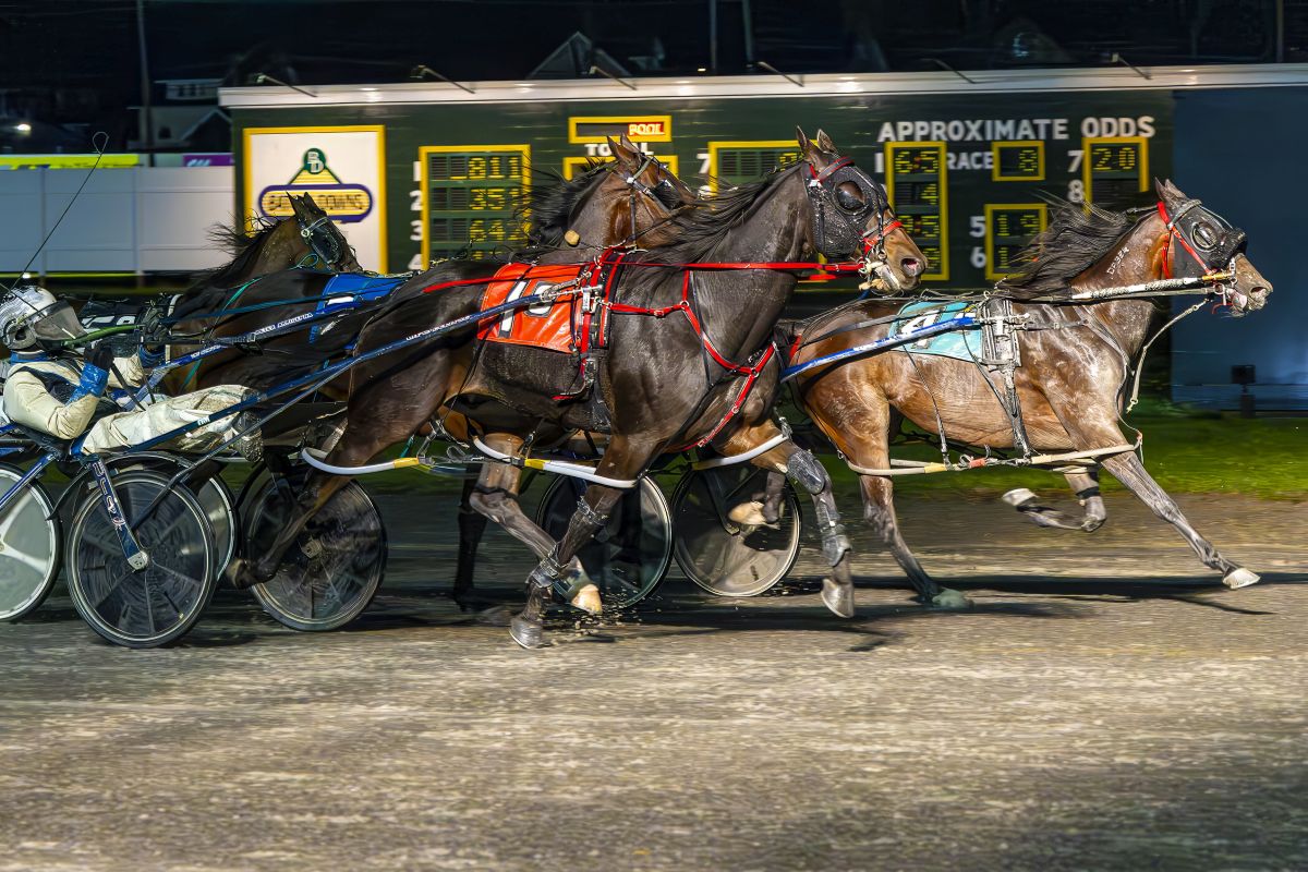 El Toro Loco, Stranger Things win on rain soaked Saturday 2