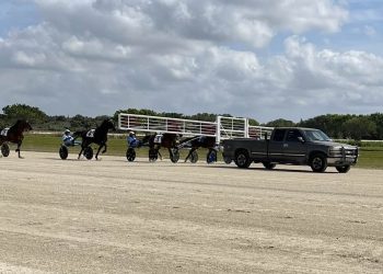 One for the books at Sunshine Meadows