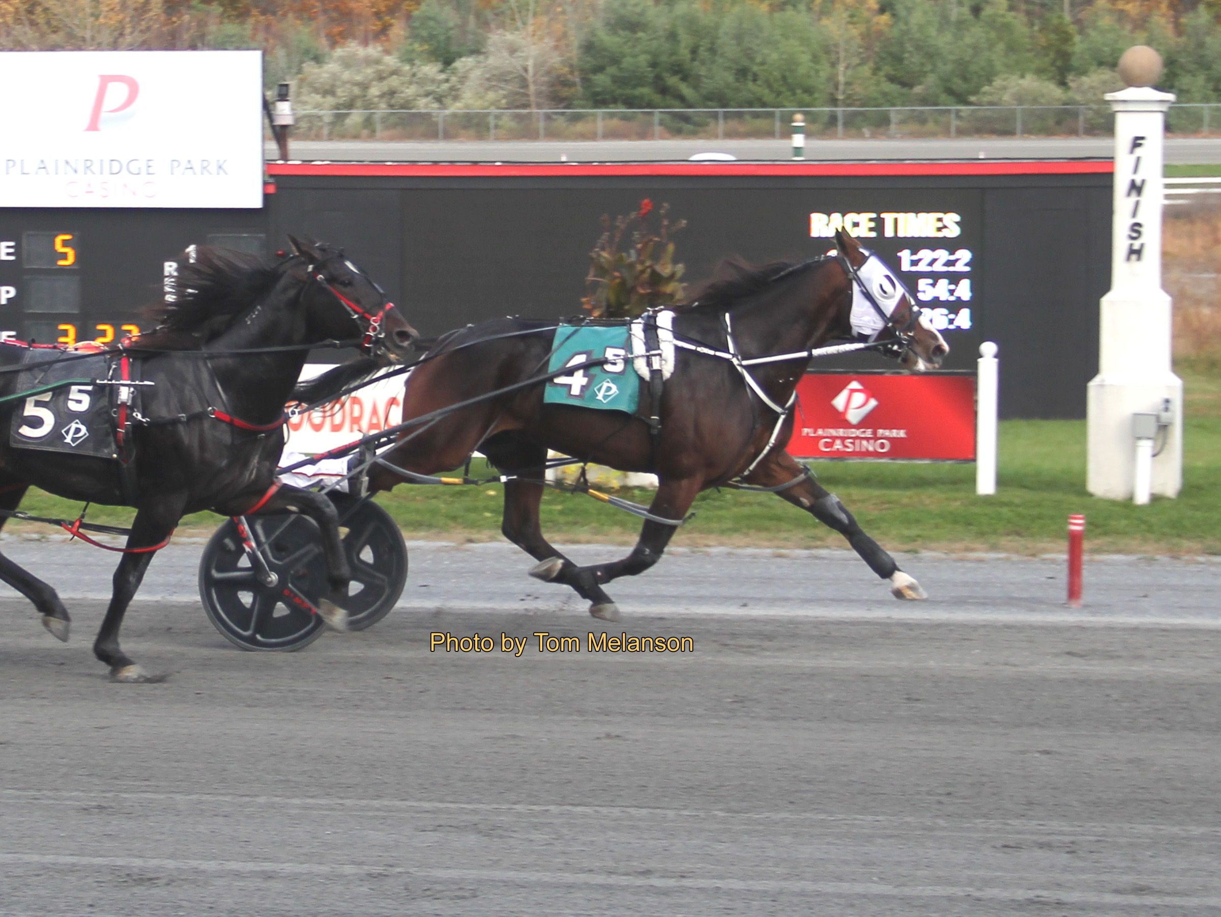 Hespoisedtopounce A strikes late to capture Baystate Special 2