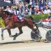Harness 5000 next for emerging trotting star 2 The faces of thirteen races – Cup Day pics