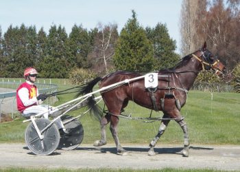 Douglas looking for hometown success