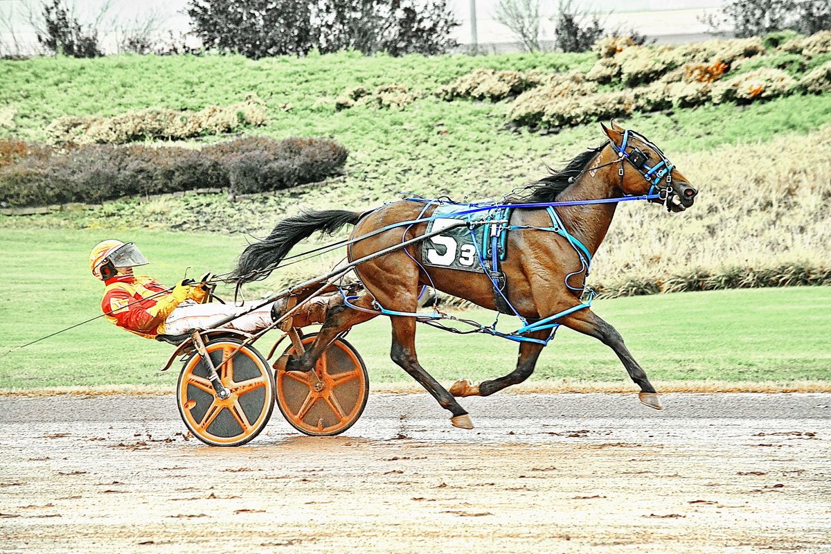 York confident Thai Hanover belongs in deep Matron field 1