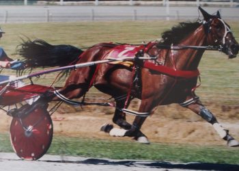 The Tough Nut – 2000 Invercargill Cup winner