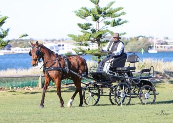 Tragedy spurring Bob O’Connor to get the most out of retired pacer