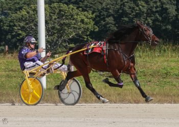 Florida Breeders Stake wraps-up 2025 race meet