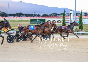 Surprises galore in Tasmania’s two year old classics.