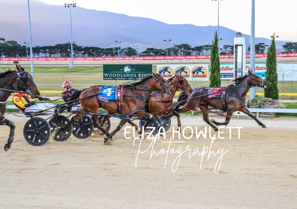 Surprises galore in Tasmania’s two year old classics. 1