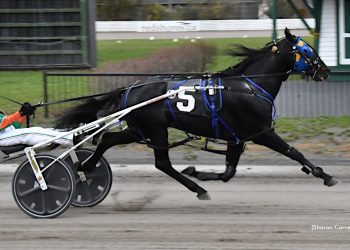 Twin B Tuffenuff notches 50th win of his career