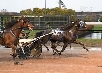 Twin B Tuffenuff fires home for third straight preferred win