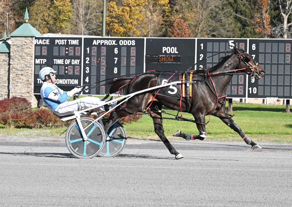 New Zealand invader blazes to six length win 1