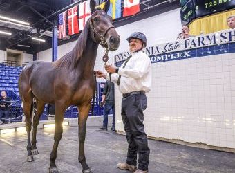 Walner filly tops opening session selling for $725,000