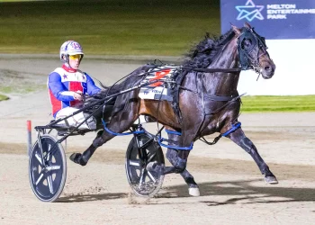 Ultimate Sniper hits new heights