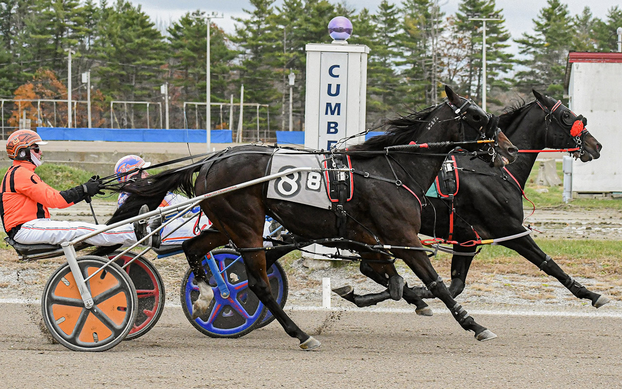 Hall lands hat-trick, Arts Flight strong 1