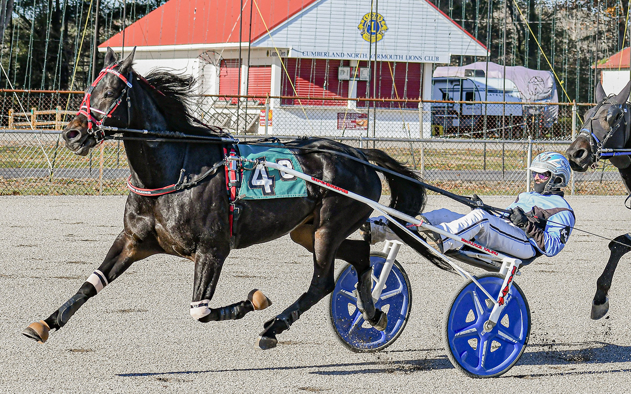 Can Big Al M overcome a bad draw? 1