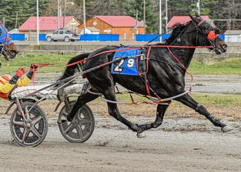 Arts Flight tough, Switzer Jr. dominates