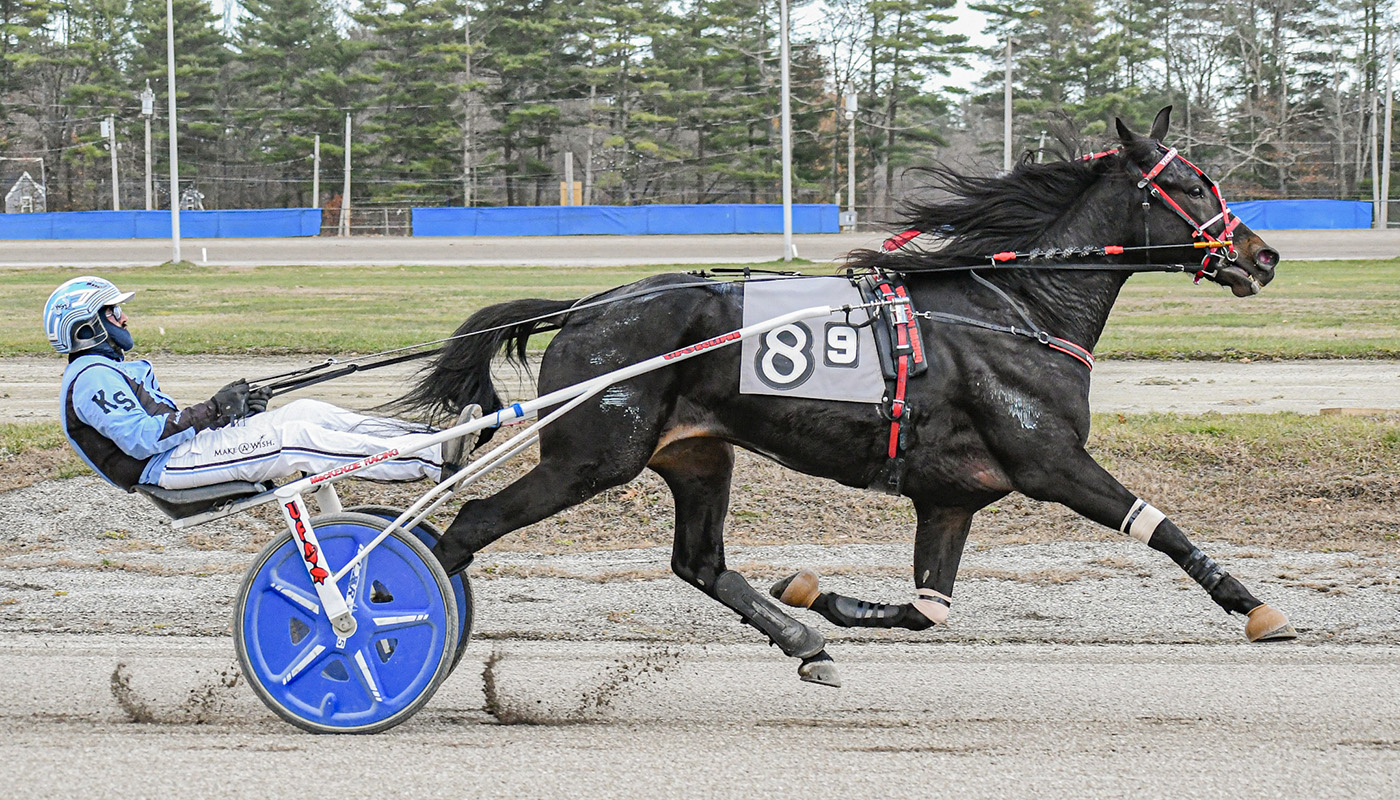 Big Al M shrugs off eight-hole for tenth win of the season 1