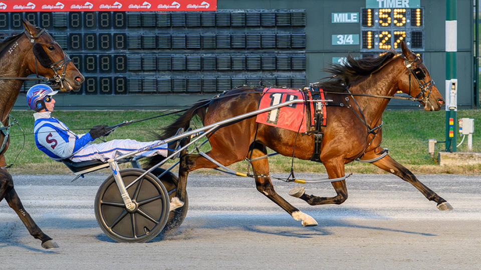 Warrens Charm coasts to DSBF prelim win 1