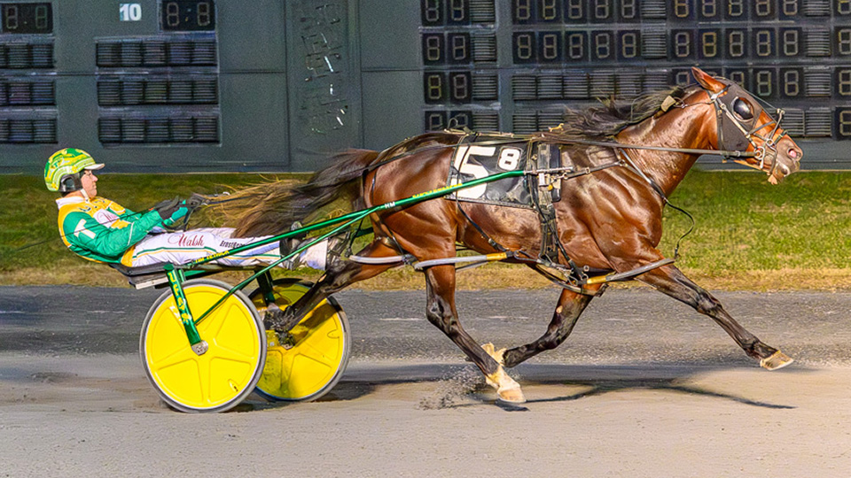 Watch Em Win dominates $110,000 DSBF final 1