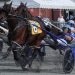 Pacing Series begins with four deep divisions and $250,000 final in sight 4