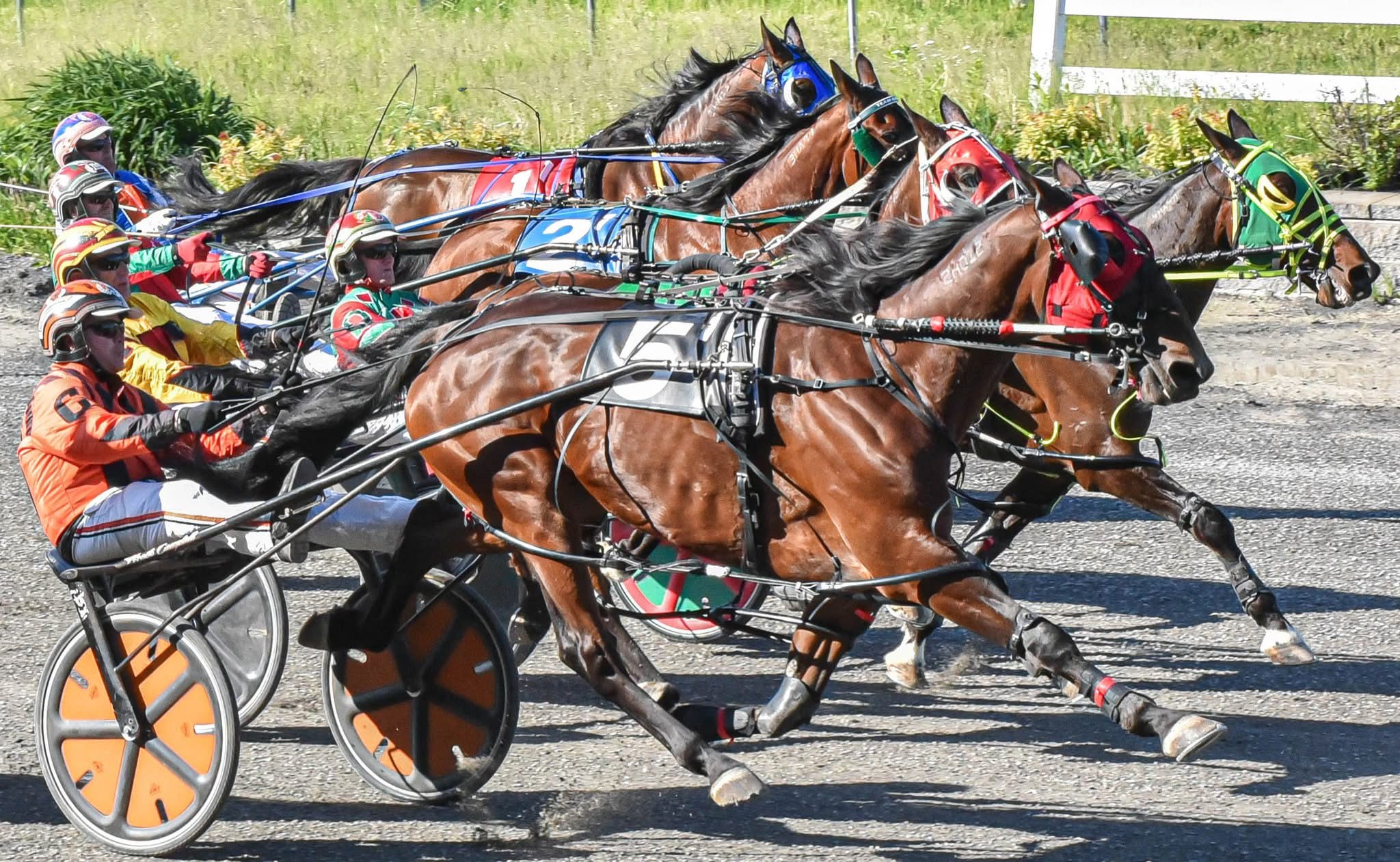 Final card of the season goes to post Saturday 1