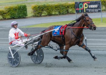 Jack to fyre up at Redcliffe