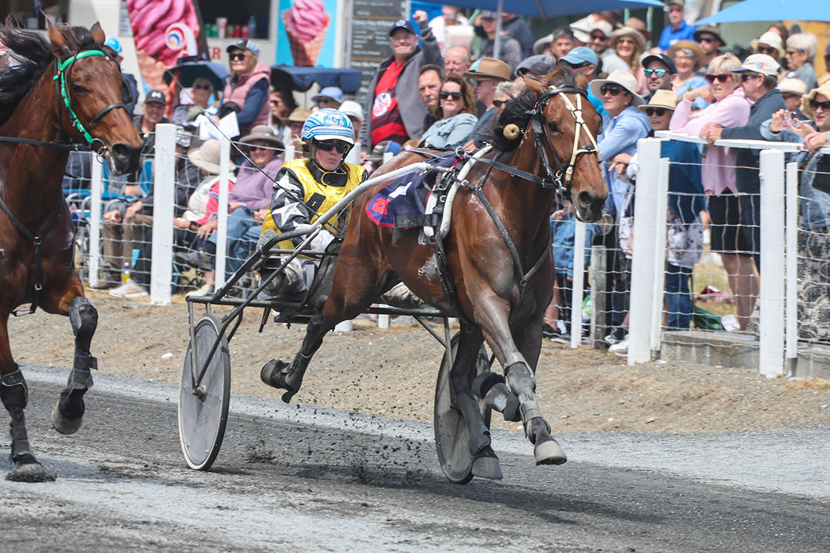 Royal Diedre wins for journeyman 1