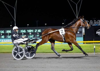 Regal Girl sells at auction on Wednesday