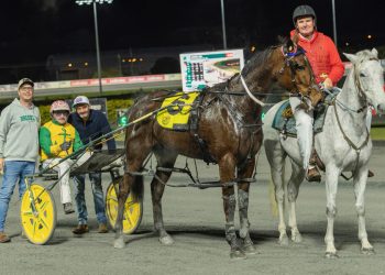 Former Kiwi ditches the tools for the sulky