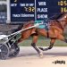 Big Ranger named 2025 Ohio 2YO Trotting Colt of the Year 2 Big Ranger