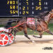 Racing Rebel named Ohio Aged Horse and Gelding Pacer of the Year 2