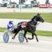 Vicbred Silver trotting winner is just fine