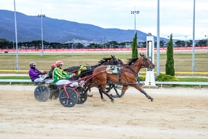 Gordons Bay springs Hobart shock 1