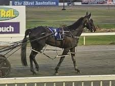 Sweet Ivy ready to strike in Christmas Gift