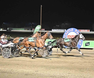 Grosso Naso winning for Tony Missen (Photo by Brett Atkins)