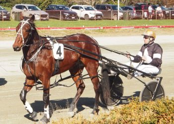 Jones takes six south