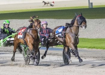 Adelaide Red shocks with last gasp win