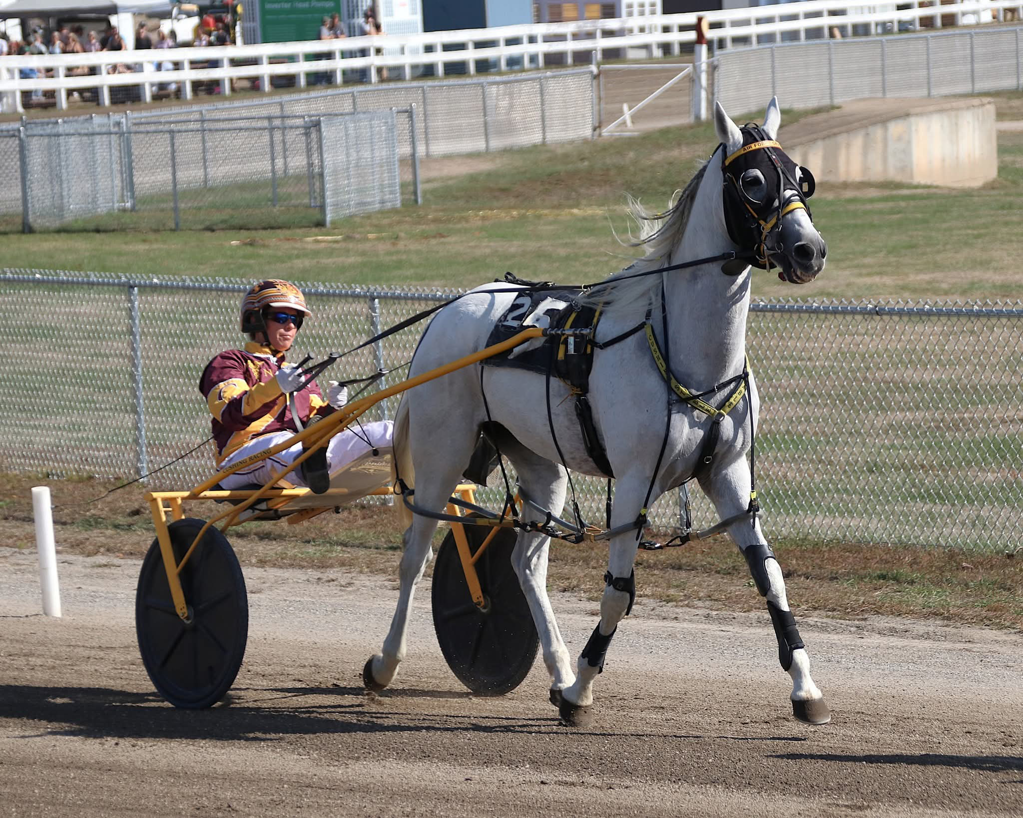 Cumberland honors 12 veteran standardbreds 1 Air Force Grad