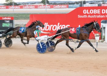 Southern Cross 3YO Finals go to Brighton and Always Dancing