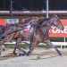 Arrhythmia gets APG, Breeders Crown double 3 Arrhythmia