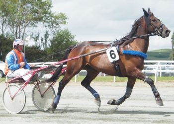 Veteran trotter returns