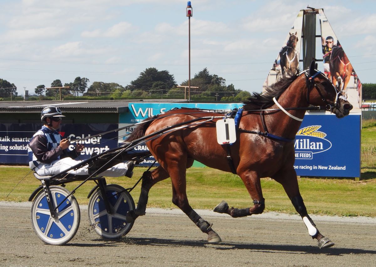 Telfer trained B D Hall warming up at Ascot Park 