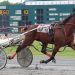Beauty Is Blind storms home for 50th career victory