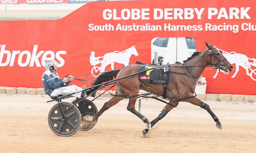 Brighton (Walter Bulyga Photo)