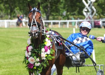 Massive pick me up for Williamson