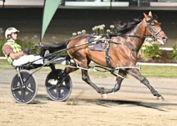 Captains Knock breaks track record in Newcastle Cup