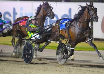 Captains Knock (Club Menangle Photo)