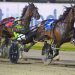 Captains Knock (Club Menangle Photo)