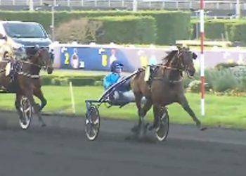 Chitchat wins Prix de Craon