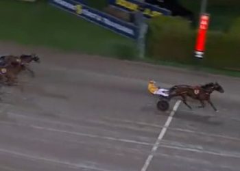 Clarissa takes STL Gold at Solvalla