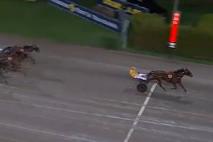 Clarissa takes STL Gold at Solvalla 1